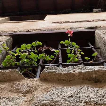 Rural La Musica San Esteban de la Sierra