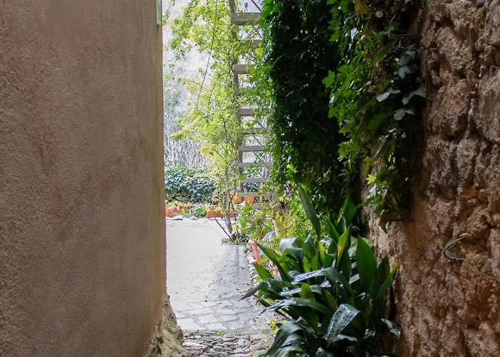 Rural La Musica 컨트리하우스 *